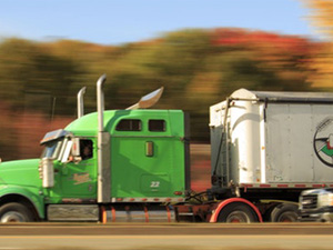 International Cargo Services